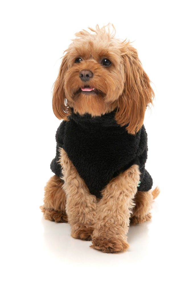 FuzzYard - Turtle Teddy Sweater