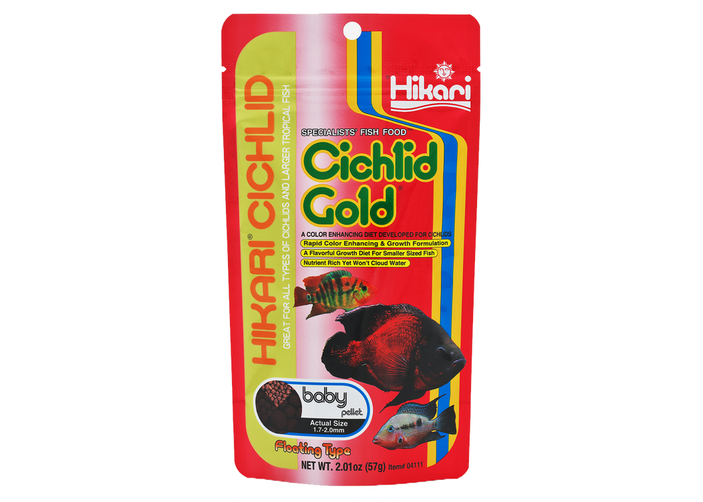 Hikari Cichlid Gold Baby