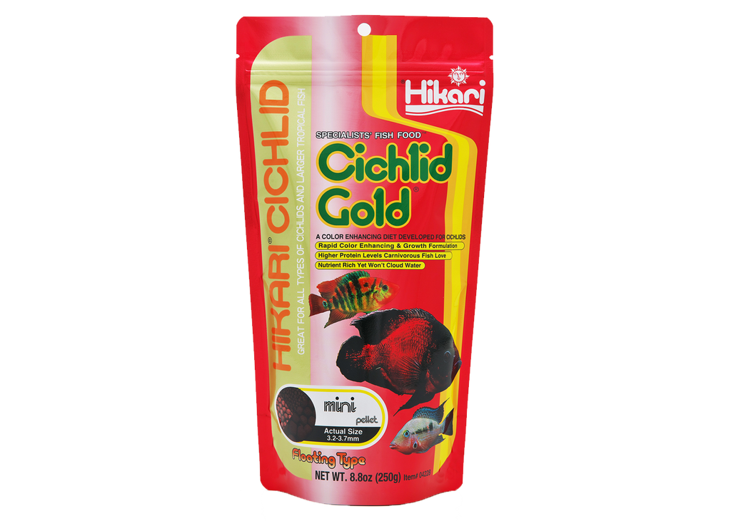 Hikari Cichlid Gold Mini