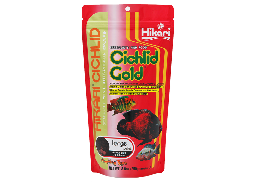 Hikari Cichlid Gold Large