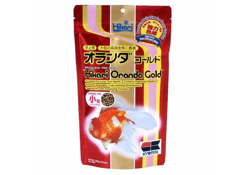 Hikari Oranda Gold Mini