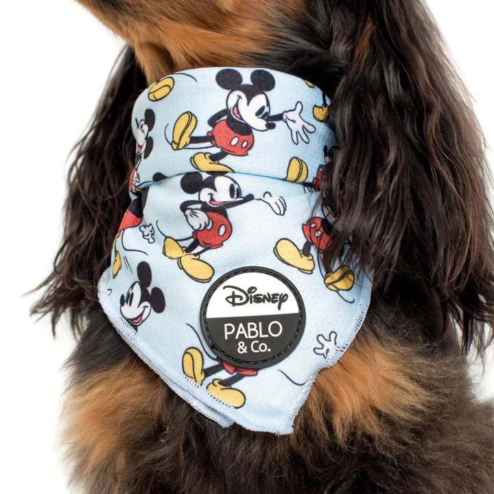 Pablo hotsell dog bandana