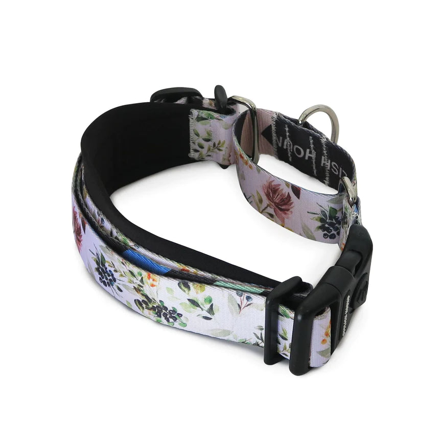 Stylish martingale collars new arrivals