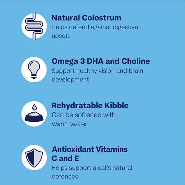 Advance Kitten Chicken With Rice