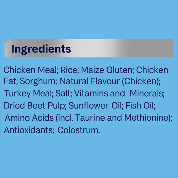 Advance Kitten Chicken With Rice