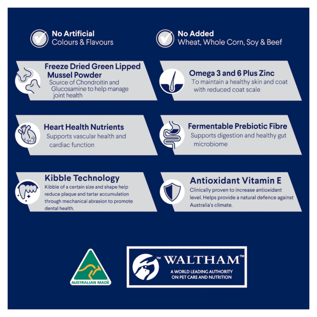 Advance Adult Dog Large Breed with Chicken