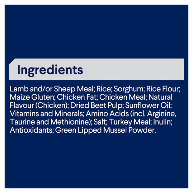 Advance Adult Dog Large Breed Lamb And Rice