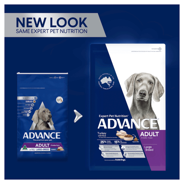 Advance Adult Dog Large Breed Turkey & Rice