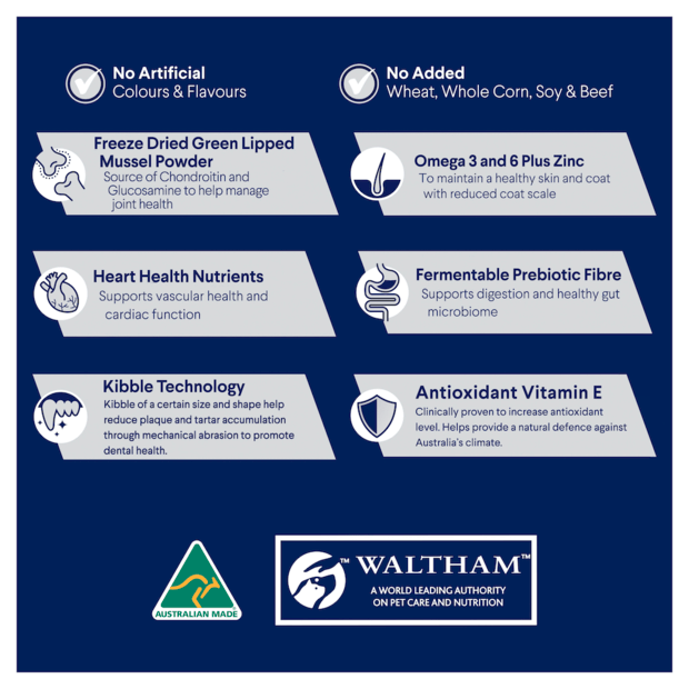 Advance Adult Dog Large Breed Turkey & Rice