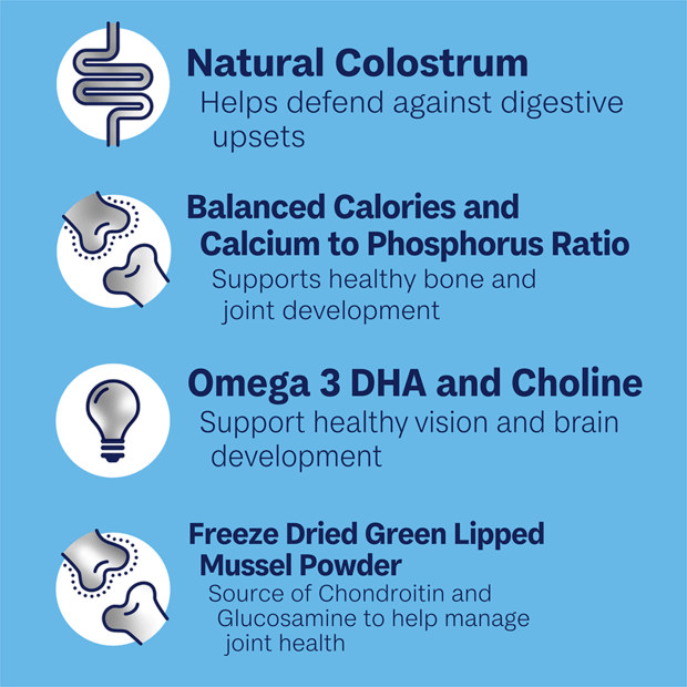 Advance Puppy Growth Large Breed Chicken with Rice