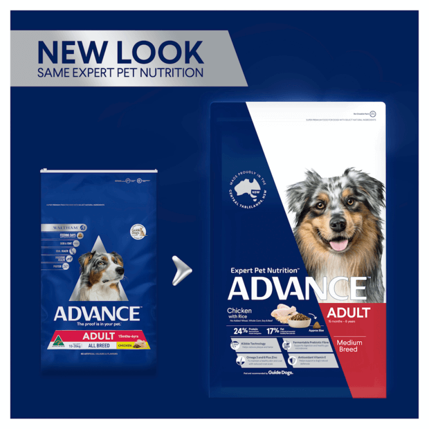 Advance Adult Dog All Breed Chicken with Rice