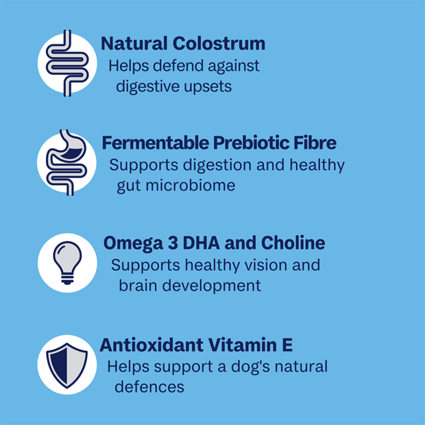 Advance Puppy Growth All Breed Chicken with Rice