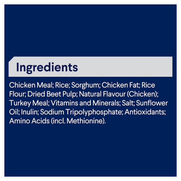 Advance Small/Toy Adult Dog Breed Chicken with Rice