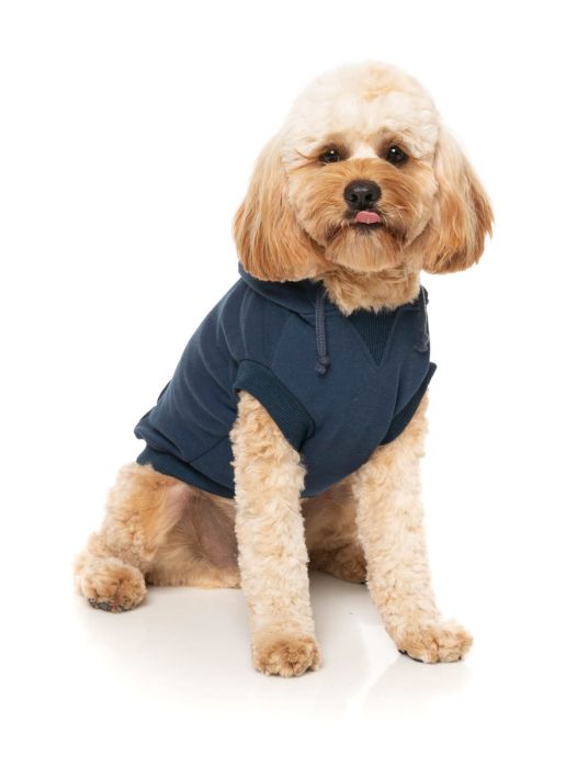 FuzzYard - Zoomies Hoodie