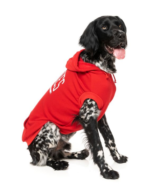 FuzzYard - Zoomies Hoodie