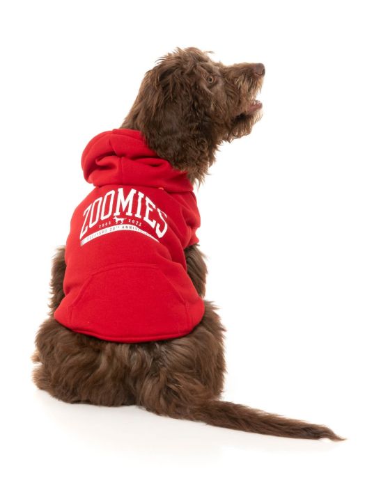 FuzzYard - Zoomies Hoodie
