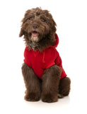 FuzzYard - Zoomies Hoodie