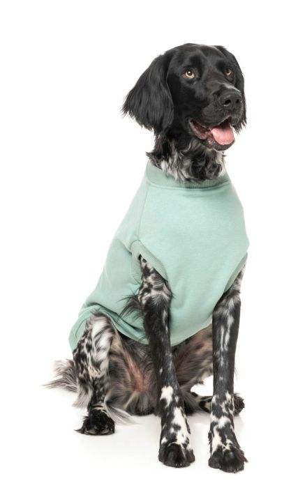 FuzzYard - Allday Sweater
