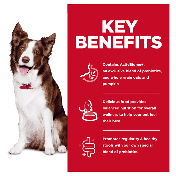 Hills Science Diet Dog Adult Perfect Digestion