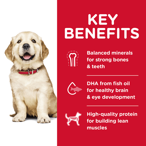 Hills Science Diet Large Breed Puppy