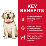 Hills Science Diet Large Breed Puppy