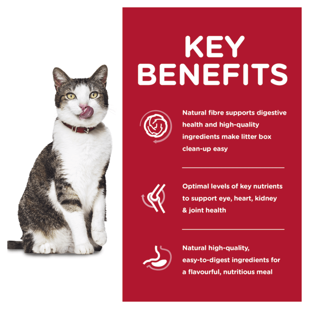 Upmarket Pets | Hills Science Diet Cat Adult 11+ Indoor Dry Cat Food