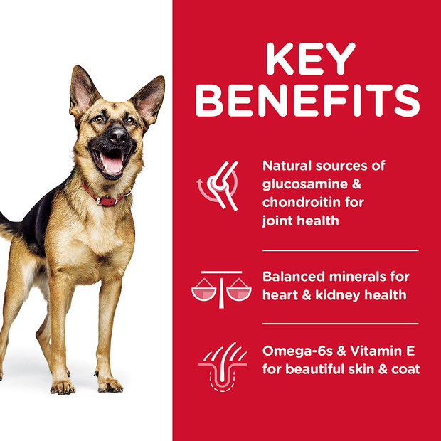 Hills Science Diet Dog Senior Adult 6+ Senior Large Breed 12kg