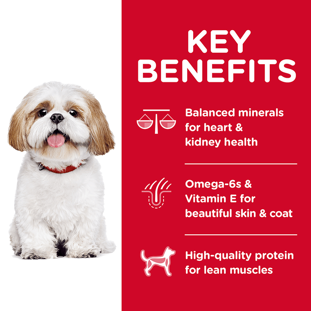 Hills Science Diet Dog Senior Adult 7+ Small Bites 2kg