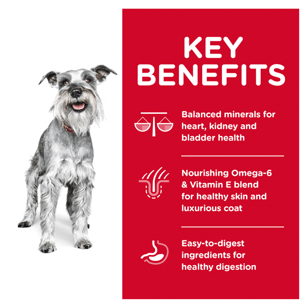 Hills Science Diet Dog 7+ Small Paws