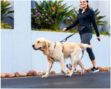 Rogz Specialty Handsfree Lead