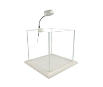 Zetlight Mini White/Blue 3w LED - 12000K