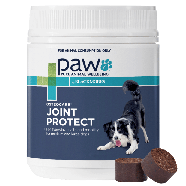 Paw Osteocare Chews