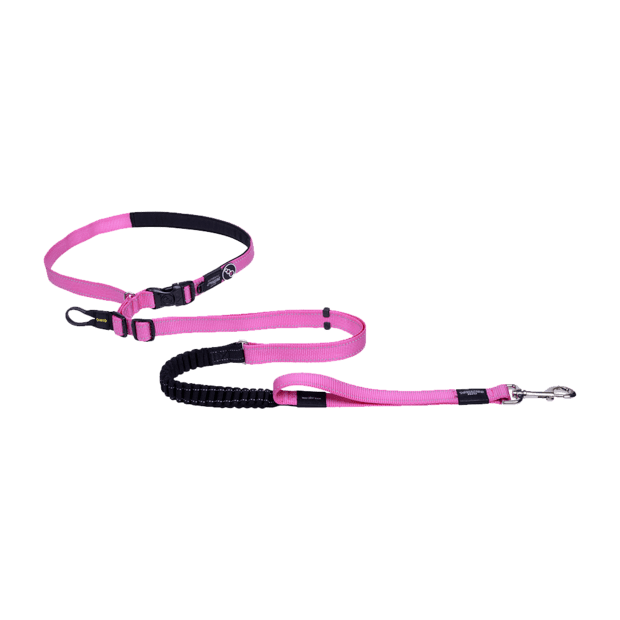 Rogz Specialty Handsfree Lead