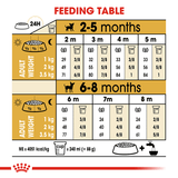 Royal Canin Dog Chihuahua Puppy 1.5kg