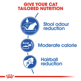 Royal Canin Cat Indoor