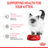 Royal Canin Kitten Second Age