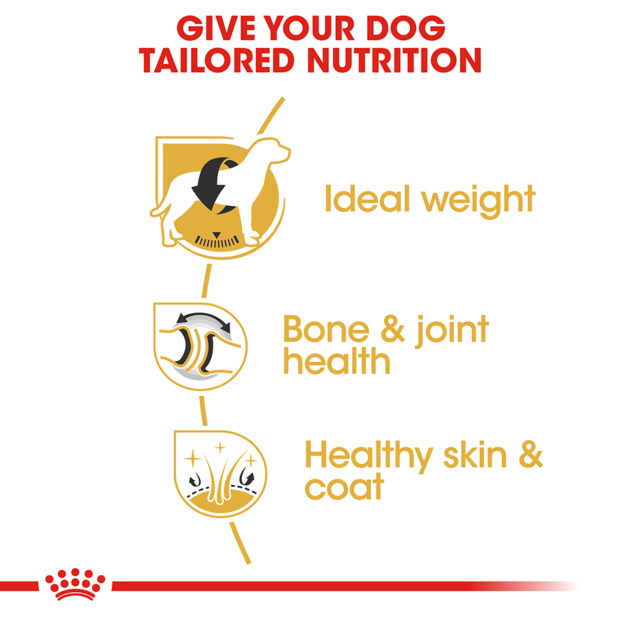 Royal Canin Dog Labrador Adult 12kg