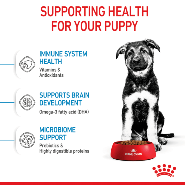 Royal Canin Dog Maxi Puppy