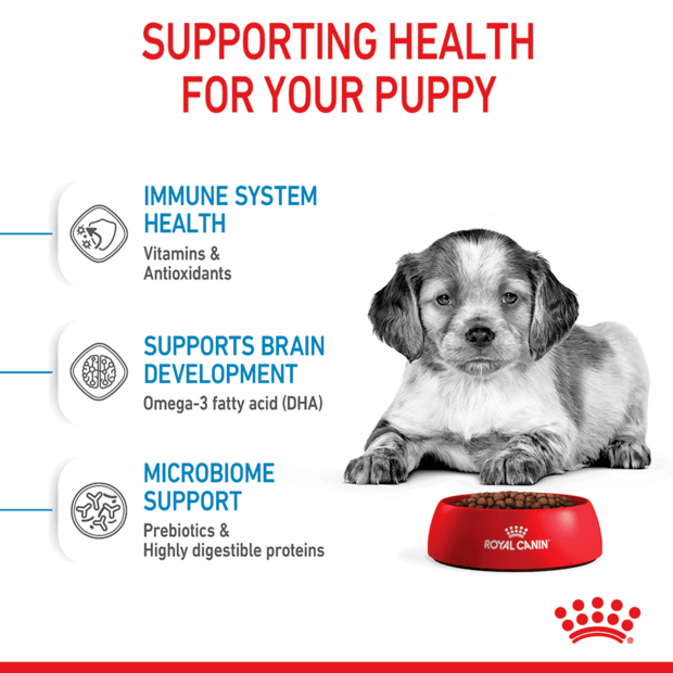 Royal Canin Dog Medium Puppy