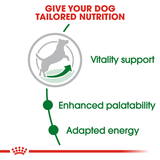 Royal Canin Dog Mini Adult 8+ 2kg