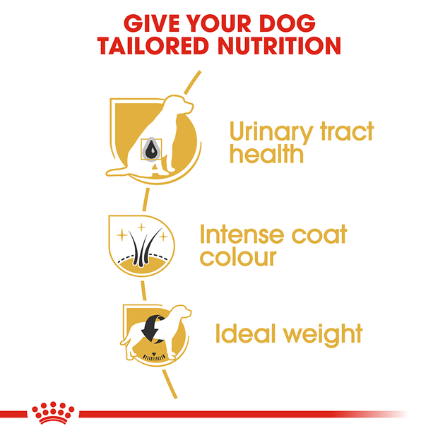 Royal Canin Dog Mini Schnauzer 3kg