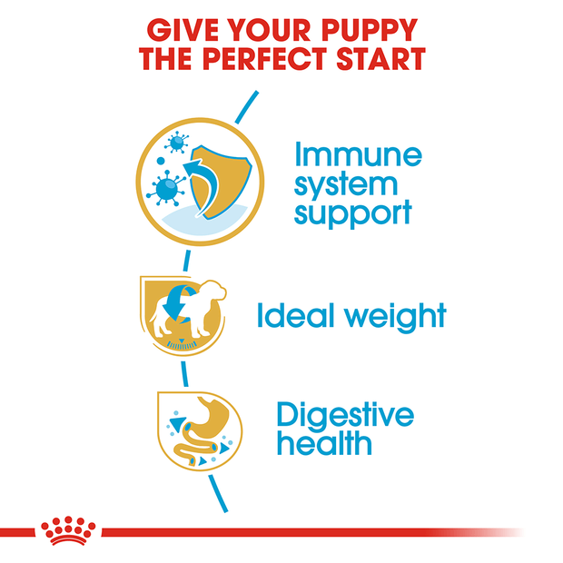 Royal Canin Dog Miniature Schnauzer Puppy 1.5kg