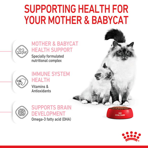 Royal Canin FHN Mother & Babycat