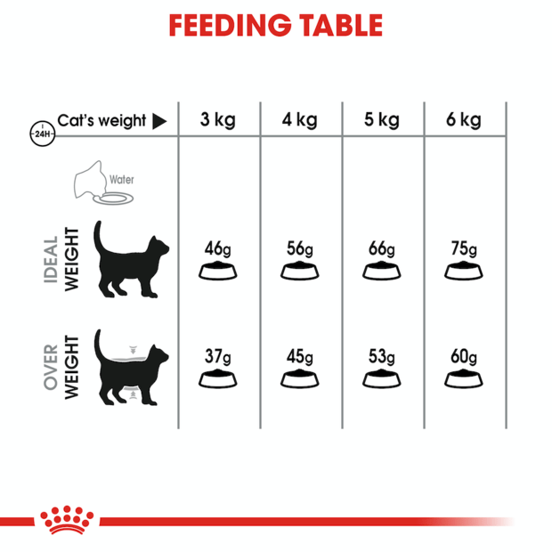 Royal Canin Cat Dental