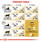 Royal Canin Cat Ragdoll