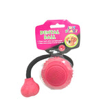 WLPET Dental Ball Dog Toy