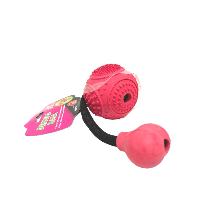 WLPET Dental Ball Dog Toy