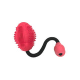 WLPET Dental Bouncer Dog Toy