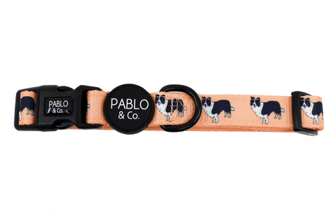 Pablo & Co Dog Collar Border Collie