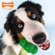 Nylabone Power Chew Broccoli Bacon/Cheese